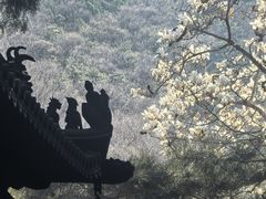 -潭柘寺景区