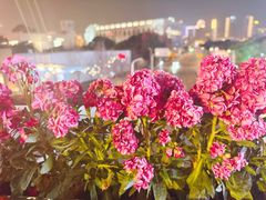 -椰子湾·海南火锅·糟粕醋·椰子鸡(正大广场店)