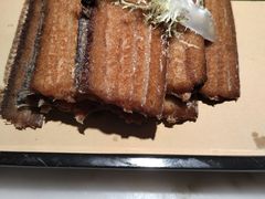 -佬肥猫(国华广场店)
