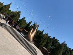 -龙口南山旅游景区