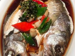 -绿茶餐厅(昌平悦荟店)