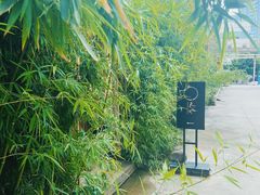 -天水蔬食料理(树德之光店)