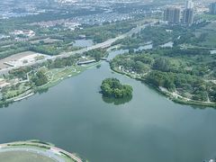 -嘉定凯悦·咖啡厅