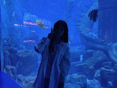 -哈尔滨波塞冬海底世界