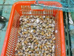 -天天海鲜城·海鲜大排档(新溪店)