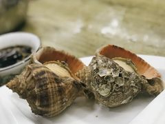 水煮小海螺-望海潮海鲜店 特色家常菜(在海一方店)