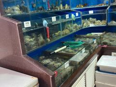 -张树军海鲜(王府壹号店)