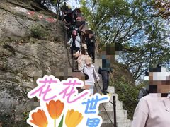 -少华山国家森林公园