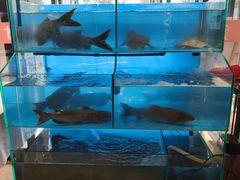 -天和晟新京菜.水煮鱼.湘土菜(国展店)