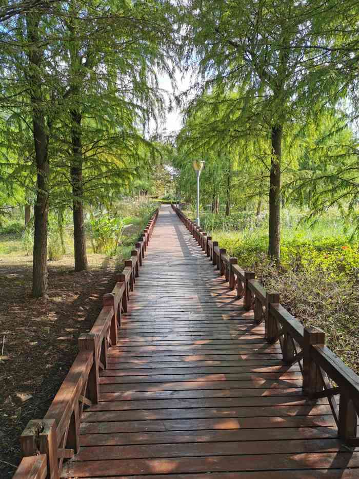 康桥生态园沔青绿地-"相当不错的绿地公园.被子也非常优越.位置.