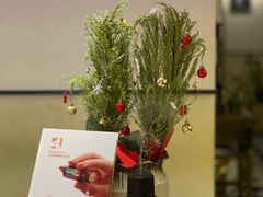 -Angkor SPA 柬埔寨古法按摩(环贸店)