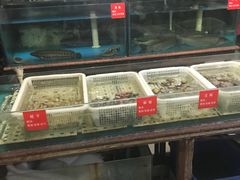 水产区-大胡子海鲜·天津菜·砂锅烧烤(五大道创始店)