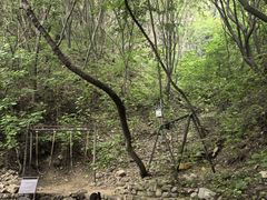 -云丘山景区