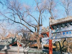 -北京国子监胡同