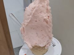 -野人先生现做冰淇淋(深圳壹方城店)