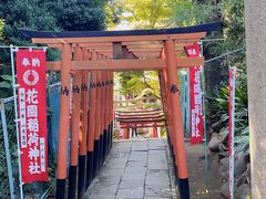 -上野公园花园稻荷神社(忍岡稲荷神社)