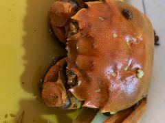 -阿莉餐厅(枣阳路店)