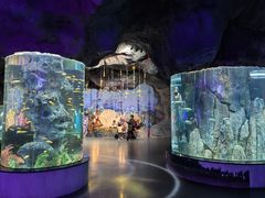 -福州罗源湾海洋世界旅游区