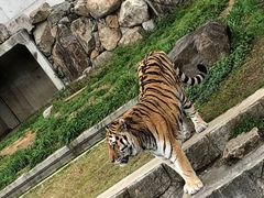 -杭州野生动物世界