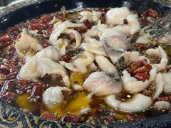 -金三可市井水煮鱼(金碧园店)