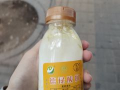 -德禄酸奶(莫家街店)