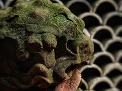 -鱼桥巷·美学川菜