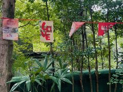 -黄山翡翠谷景区
