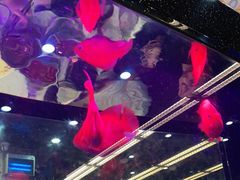 -新辉港式茶餐厅(北栅店)