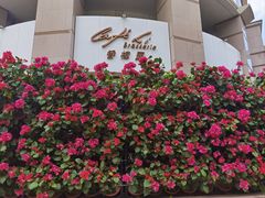 -上海兴国宾馆香樟园西餐厅