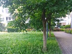 -湖北科技职业学院(关山校区)