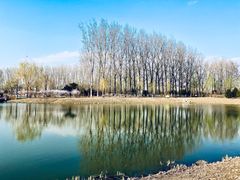 -东郊湿地公园