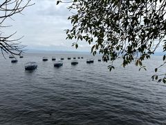 -抚仙湖禄充风景区