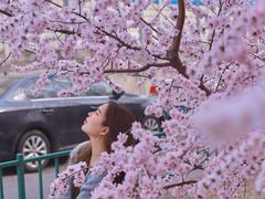 -知春路(地铁站)
