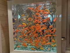 -永利澳门酒店