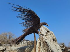 -北京西山国家森林公园