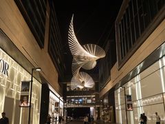 -深圳湾万象城(南山店)