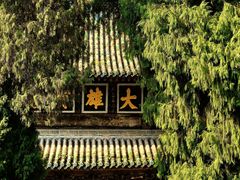 -报恩寺(平武县)