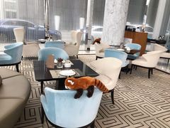 -成都尼依格罗酒店