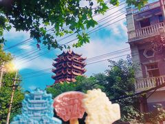 -黄鹤楼公园(黄鹤楼)