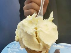 -野人先生现做冰淇淋(西安赛格店)