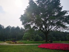-保利石象湖景区