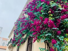 -华谊兄弟（长沙）电影小镇