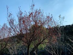-Beans Solo豆号咖啡(百家湖花园店)