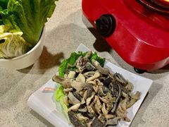 -墨脱石锅椰子鸡•香草鸭•东山羊(大东海店)