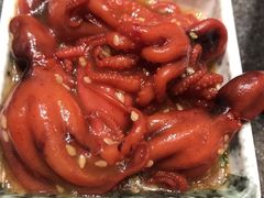 芝麻八爪鱼-禾绿回转寿司(万柳华联店)