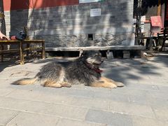 -阳台山自然风景区