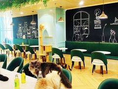 -安格丽娜·狗咖·猫咖羊驼咖(春熙路百盛商场店)
