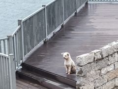 -北港方记海鲜楼·海景餐厅