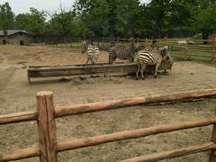 -西安秦岭野生动物园