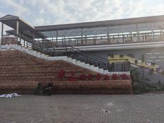 -长春市南湖公园